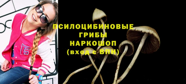 метадон Горнозаводск