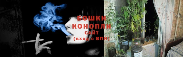 метадон Горнозаводск