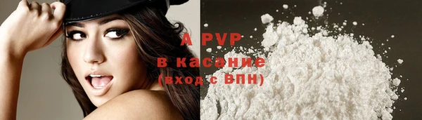гашик Покачи