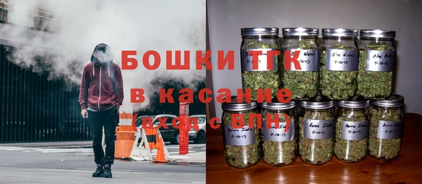 метадон Горнозаводск